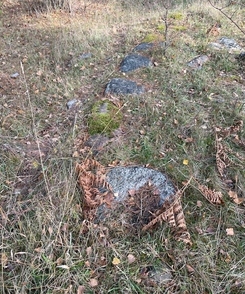 Foto av stenar som syns under torkat gräs på marken. Foto av stenar som syns under torkat gräs på marken.