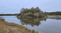 Höstlandskap med sjö och träd på en molnig dag. Höstlandskap med sjö och träd på en molnig dag.