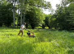 Person klipper gräs med gräsklippare i solig glänta. Person klipper gräs med gräsklippare i solig glänta.