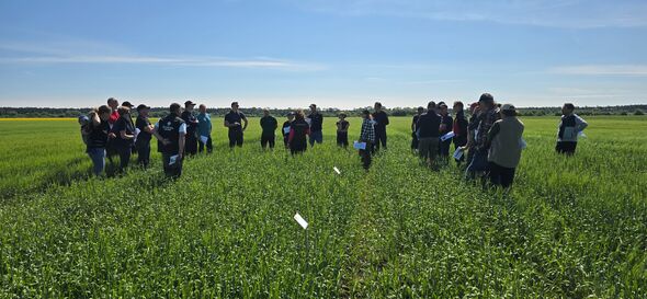 Grupp människor på studiebesök i grönt fält under solig dag.