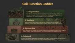 Soil Function Ladder. 