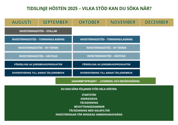 illustration tidslinje när man kan söka de olika stöden under hösten 2025