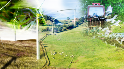 kollage landsbygd åkrar