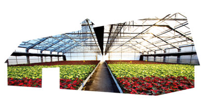 illustration växthus