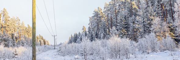 Kraftledning genom vintrigt skogslandskap. 