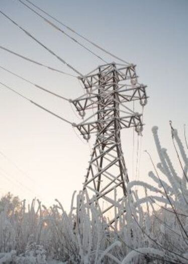 Frostig kraftledningstorn med frostiga växter i förgrunden. 